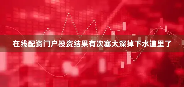 在线配资门户投资结果有次塞太深掉下水道里了