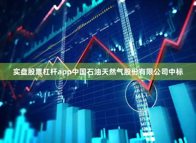 实盘股票杠杆app中国石油天然气股份有限公司中标