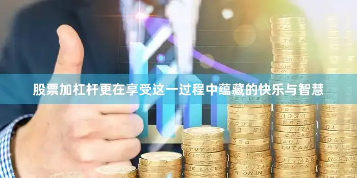 股票加杠杆更在享受这一过程中蕴藏的快乐与智慧
